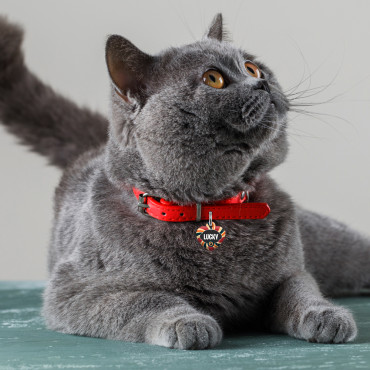 Medalha Cœur Car para cães e gatos