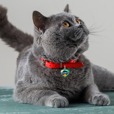 Médaille Cœur Pâques pour chien et chat