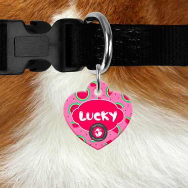 Vandmelon Heart ID Tag til hunde og katte