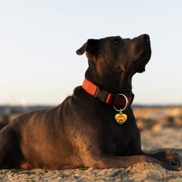 Medaglietta Smile a forma di cuore per cane e gatto