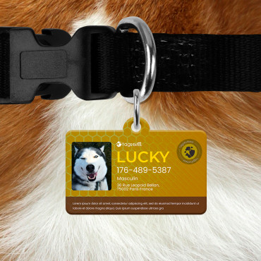 Bee Rectangular ID Tag for Dogs and Cats