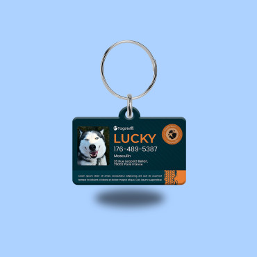 Médaille rectangulaire Car pour chien et chat