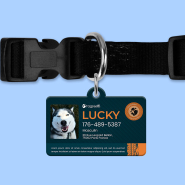 Médaille rectangulaire Car pour chien et chat