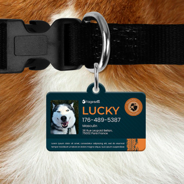 Médaille rectangulaire Car pour chien et chat